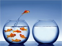 /album/fotogaleria/fondo-07-jpg/