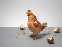 /album/fotogaleria/fondo-08-jpg/