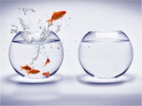 /album/fotogaleria/fondo-10-jpg/