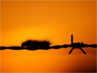 /album/fotogaleria/fondo-21-jpg/