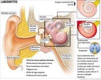 /album/infografia/info-12-jpg/