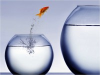 /album/fotogaleria/fondo-45-jpg/