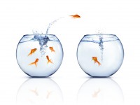 /album/fotogaleria/fondo-47-jpg/