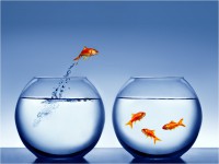 /album/fotogaleria/fondo-48-jpg/